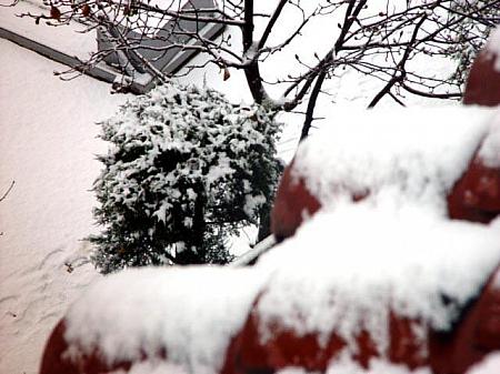 この冬初のぼたん雪のソウル！【２００２年】