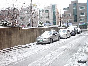 この冬初のぼたん雪のソウル！【２００２年】