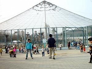 ソウル大公園の動物園を探訪してみよう