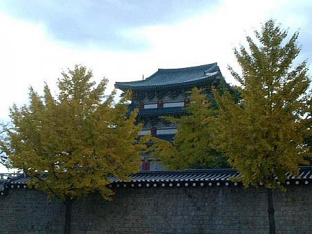 石壁と黄色く色づいたイチョウ並木。民俗博物館も見えますね。