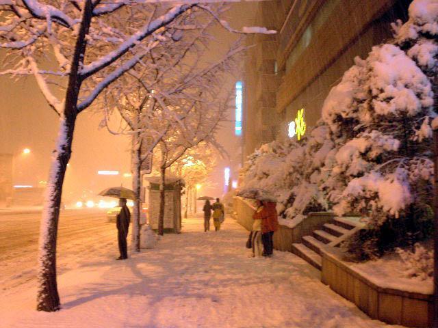 １００年ぶりの大雪のソウル ソウルナビ