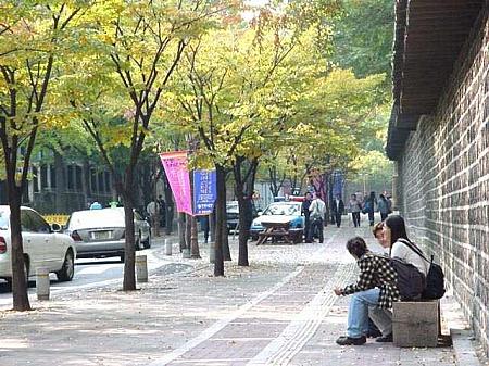 ソウルの紅葉と落葉のストリート！【２００４年】