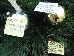 エリアニュース in 市庁・光化門～２００５年１２月編～