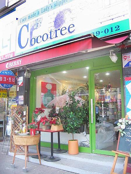  ステキな植物が集まるお店「Cocotree」。 