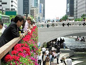 エリアニュース in 市庁・光化門～２００６年５月編～