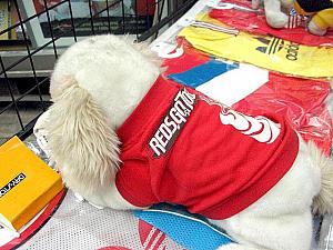 写真で見るＷ杯前のソウル【２００６年】 