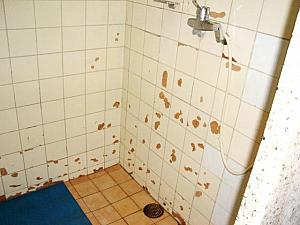 ＜これはシャワー室。ちょっとタイルがはげているのですが・・・。＞ 
