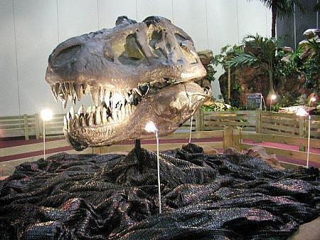 Ｈｉ　Ｄｉｎｏ２００３　世界最大真品恐竜大展