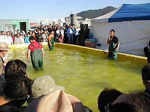 写真で見るチャガルチ祭り2004