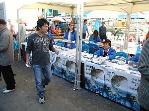 写真で見るチャガルチ祭り2004