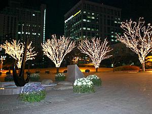 写真で見る釜山のクリスマス！【２００６年】