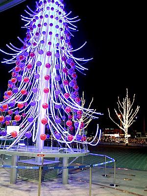 写真で見る釜山のクリスマス！【２００６年】