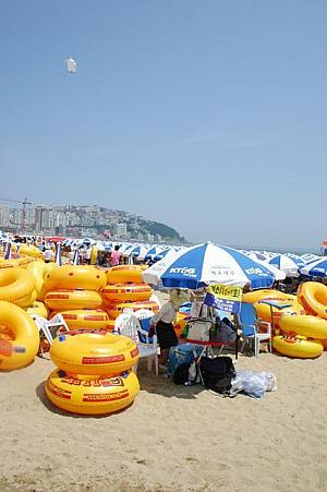 第１２回釜山海祭り