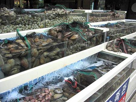 開放的な雰囲気で目立つ、貝類が食べられる店「クルサニャン」