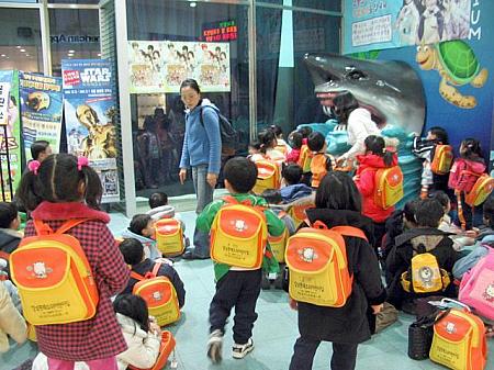 水族館「COEX AQUARIUM」付近は園児たちでごった返し中！