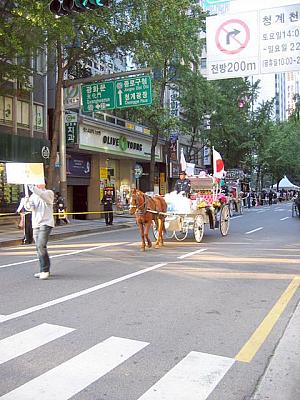 ホント風が強かった！ちょっと寒そう！？いつも清渓川（チョンゲチョン）にいる馬車もパレードに参加。