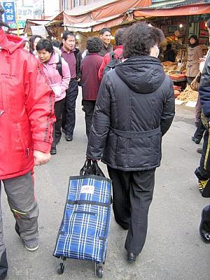たくさんの買い物の荷物を運ぶのは大変。そんな時はショッピングカートが大活躍～。