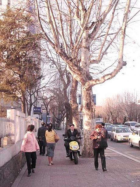歩道でも走るバイクには気をつけましょう。