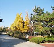 島山（トサン）公園に紅葉を見に行ってきました〜 -狎鴎亭・清潭洞