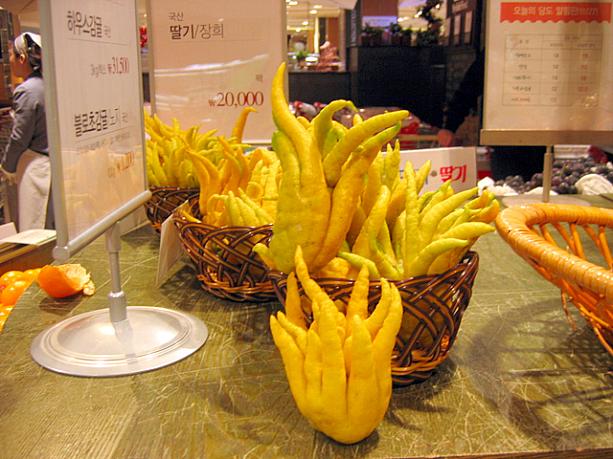 そしてこちらは佛手柑（プルスガム）という済州島（チェジュド）産の珍しい柑橘類の果物！観賞用で食べられないらしいけど、とっても良い香りがするんですよ〜！