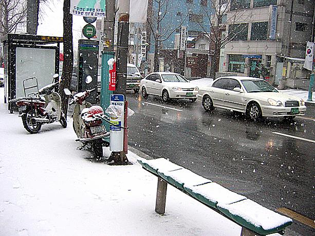 今日も朝から雪降り・・・今年に入ってから二回目の雪！