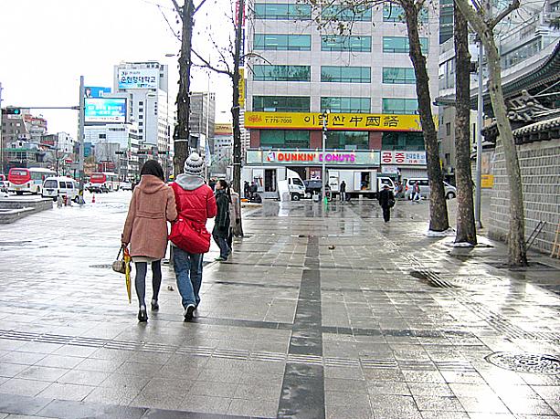 でも今日の雪、昼頃には止んで少し気温が上がったみたい、積もった雪はほとんど溶けちゃいました。
