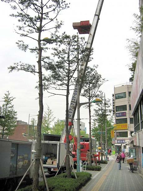 窓のところで積んだ、家具などの荷物を載せたラックがこうやって下りてきて・・・　写真ではわかりませんが、このラックの下りてくるスピードがびっくりするほど速いんですよ〜！＾＾；
