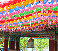 カラフルな提灯の天井で、生誕のお祝い！ -曹渓寺