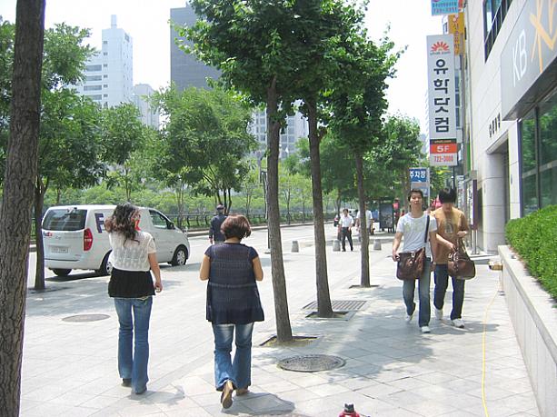 とっても天気の良かった今日の午後。気温もだいぶ上がったみたい。外を歩くと木々の緑も街行く人々の様子もすっかり夏の風景。