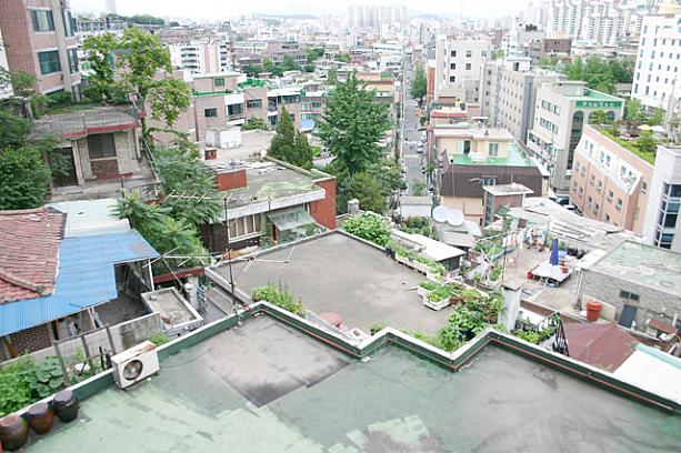 階段の行き止まりまで来るとこんな景色が。いろんな家の屋上が見えます。みんな結構お家の屋上を活用しているようですね〜＾＾
