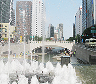 清渓川では夏らしい景色があちこちに！ -清渓川