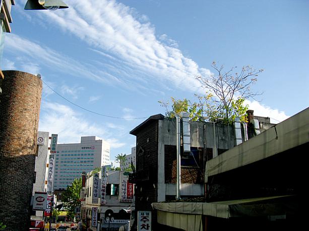 今週に入ってから昨日まで、曇ったり小雨が降ったりとすっきりしないお天気が続いていましたが、今日は朝、外に出てみると・・・わあ〜、いいお天気！そして涼しいっ！今朝のソウルの気温は11.5℃まで下がったそう！（午前8時頃）
