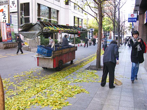 今日も昨日に引き続き風が強く、街では至る所で枯葉が舞っています！今日は日中もあまり気温が上がらないそう。この寒さは今日を入れて２、３日続くとか。みなさん、あったかくしてお出かけくださいネ！