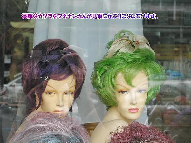 こちらは、カツラ屋さん。さまざまなカツラが勢ぞろい。 -南浦洞にて