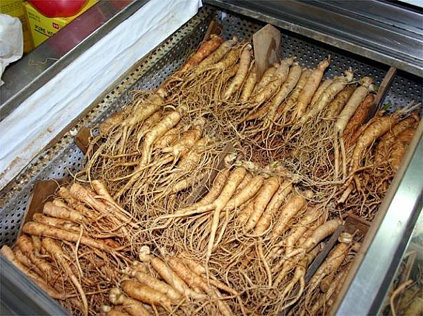 ここは釜田市場内にある高麗人参専門街。太くて新鮮な最高級の高麗人参がたくさん揃っていますよ！！