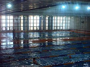 みぽりん＠そうる.com・第１８回「韓国は習いごと天国−スポーツの巻−」