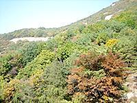 ちえの留学特派員レポート・第８回「ソウル留学7ヶ月を過ぎた今の気持ち」