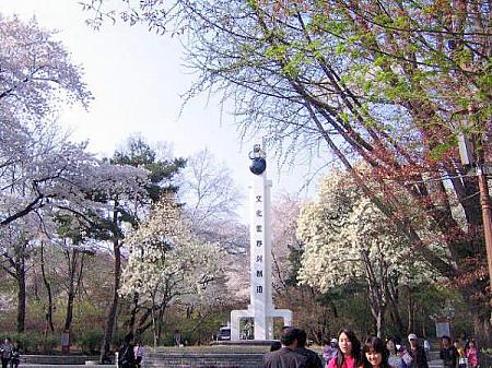 ジュンの留学記録～my life as a foreign student in ソウル！第１回「韓国留学生活について」