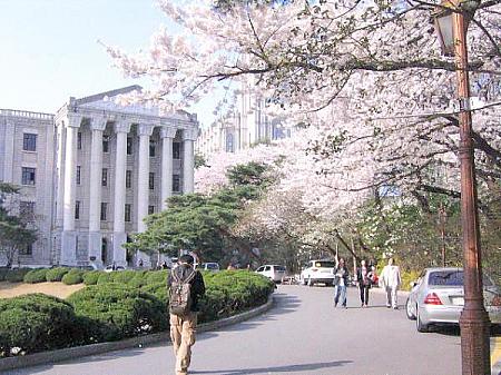 ジュンの留学記録～my life as a foreign student in ソウル！第１回「韓国留学生活について」