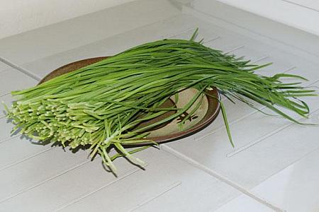 かんばっくみぽりん、第７弾！韓国主婦事情「ニラと仲良くなる方法」