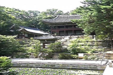 教授夫婦の韓国観光記