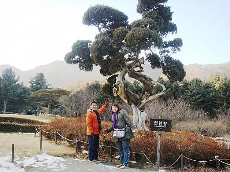 ちまりん、韓国訪問３回目の旅（２００７年１月）