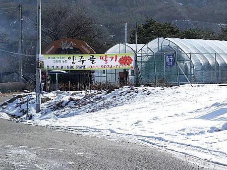 しろっちのソウル旅行記パート３