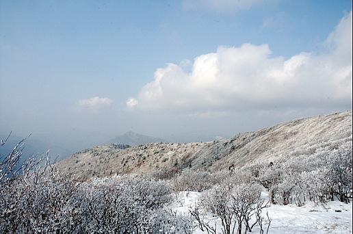 ここが韓国では一番寒いと言われる真冬の江原道 テベク山