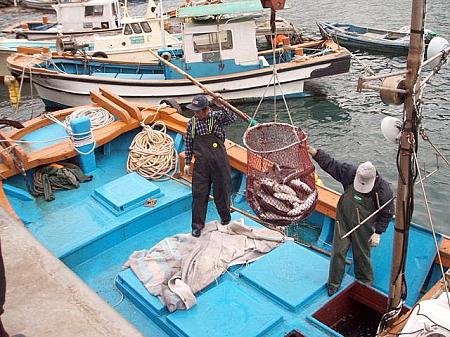 ⇒巨濟島の船着場の近くには網いっぱい魚を運ぶ風景も見ることができました。