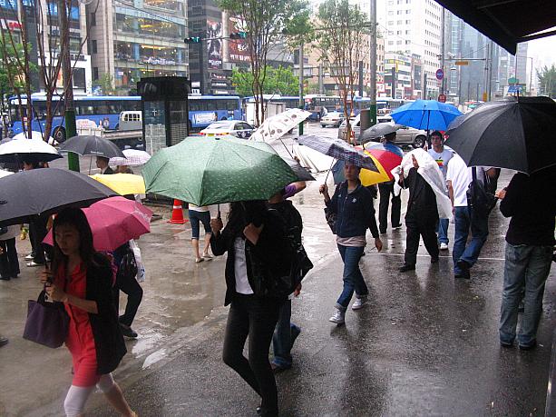 暖かく気持ちの良いお天気が続いた先週とはうって変わって、今日は雨～。朝からしとしと、ずーっと降り続いています。