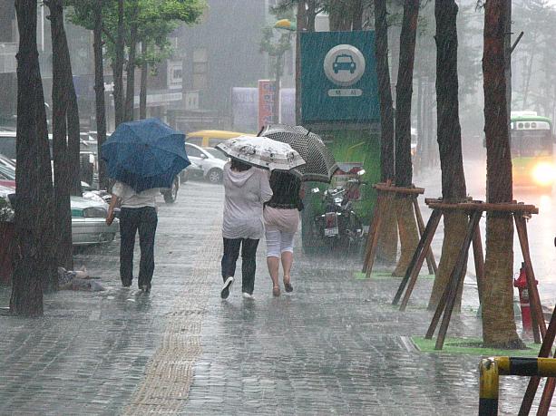 今日は朝からすっごい雨。弱まることなく、どしゃどしゃと激しく降り続いています！おまけに風もけっこうあって、傘をさしていても少し外を歩くだけでびしょ濡れに～。