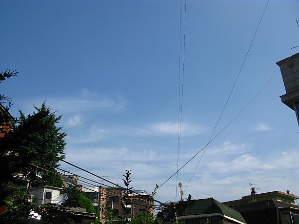 久しぶりにキレーに晴れた空！いやあ、真っ青な空はやっぱ気持ちいいな～