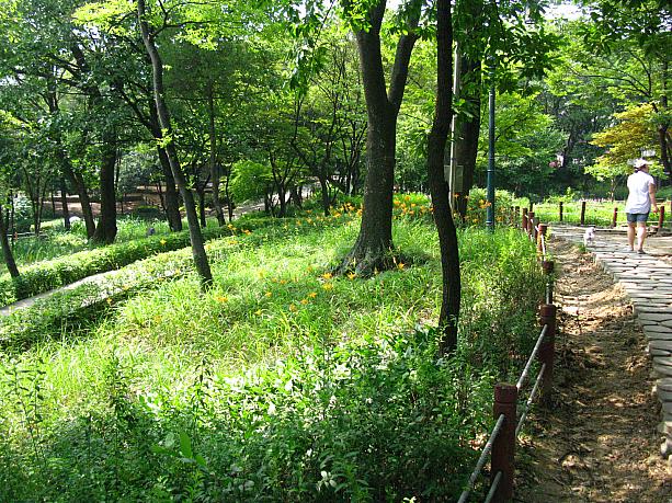広～い敷地内には整備された散歩道も！木陰を歩くと涼しい風が・・・