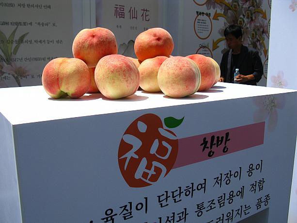 ところで、確かに桃の旬は夏だけど、なぜ桃で暑気払い？って思いますよね。韓国では一年で一番暑い時期に、「ポンナル(伏日)｣っていう暑さを乗り切るために体に良い物を食べる日があるんですが、韓国語で桃の「ポクスンア」と「ポク」の語呂が同じこと、そして「ポク」とは「福」という意味になり縁起が良いことからきているとか！？次回の伏日、今年2回目の「中伏」はあさって24日金曜日。ひんやり冷たい桃で、暑さを吹き飛ばしてみるのもいいかも！？＾＾